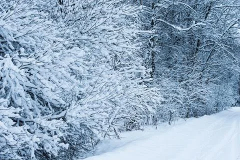 Winter road Fotos Stock