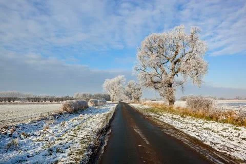 Winter road Foto stock