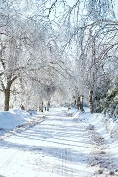 Winter road Stock Photos