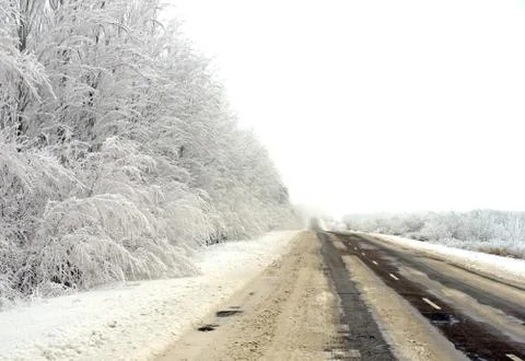 Winter road. Stock Photos