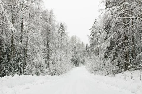 Winter road Stock Photos