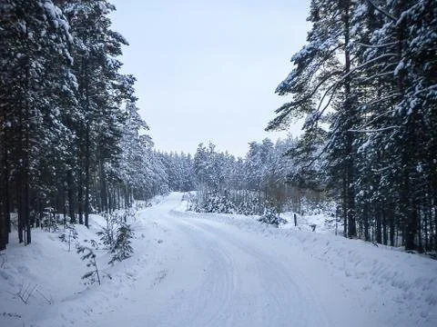 Winter road Stock Photos