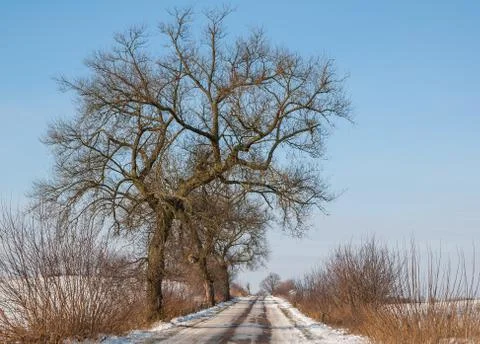 Winter road Stock Photos