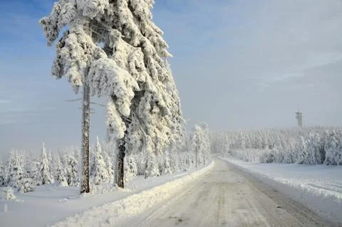 Winter road  Stock Photos
