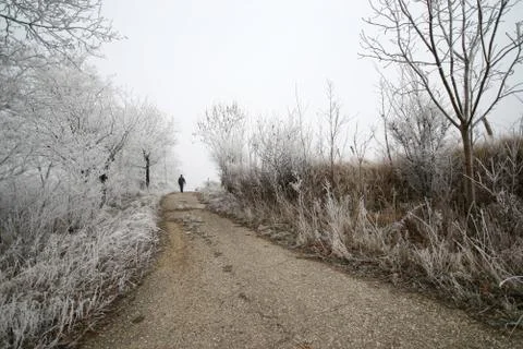 Winter road Stock Photos