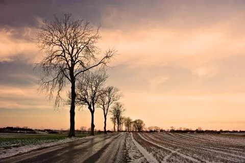 Winter road Stock Photos