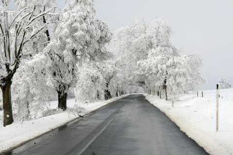 Winter road Stock Photos