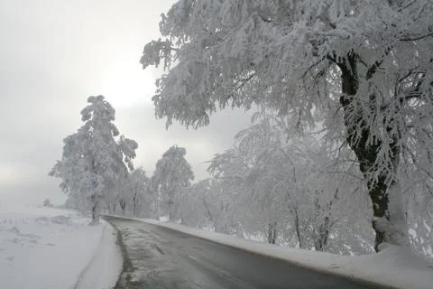 Winter road Stock Photos