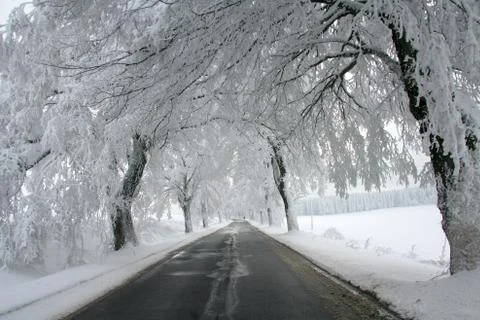 Winter road Stock Photos