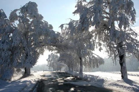 Winter road Foto stock