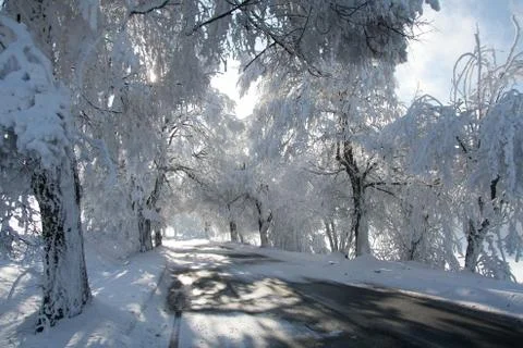 Winter road Stock Photos