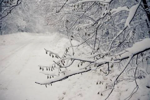 Winter road Stock Photos