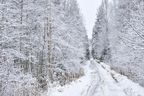 Winter road Stock Photos