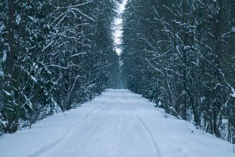 Winter road. 库存照片