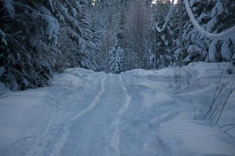 Winter road Stock Photos