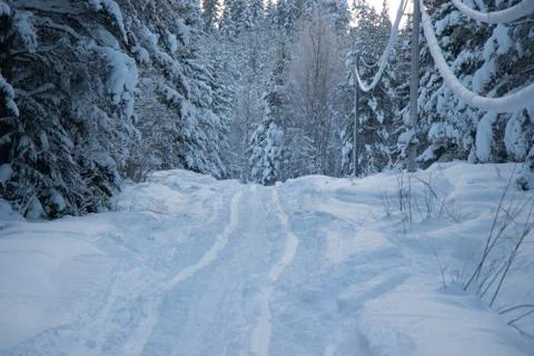 Winter road Stock Photos