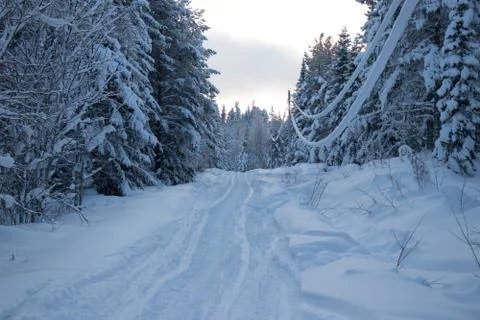 Winter road Stock Photos