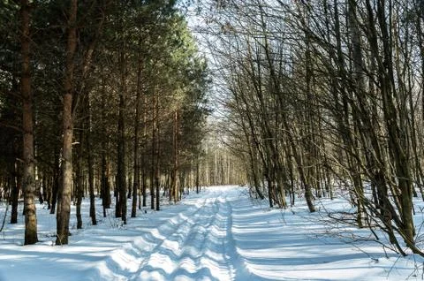 Winter road Foto stock