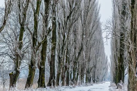 Winter road Stock Photos