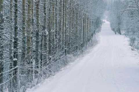 Winter road Stock Photos