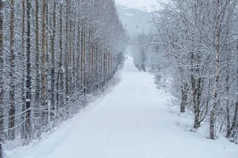 Winter road Stock Photos