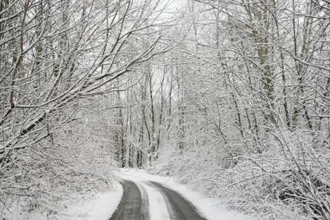 Winter road Stock Photos
