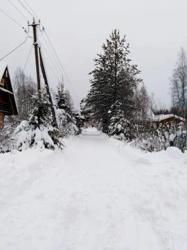 Winter road Foto stock