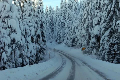 Winter road Stock Photos