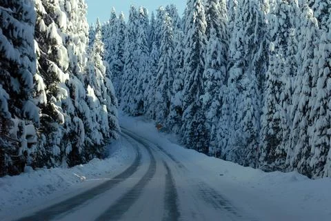 Winter road Foto stock