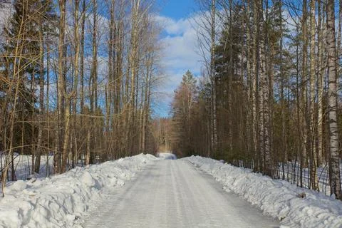 Winter road. Stock Photos
