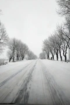 Winter road running between the frozen trees. 스톡 사진