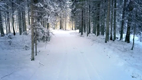 Winter Road in the Snow Covered Forest Video stock 85418158