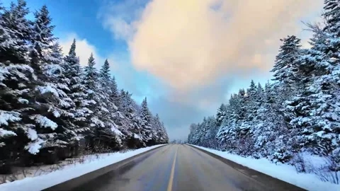 Winter Road Snow Covered Tree Car Mount Stock Footage 304438226