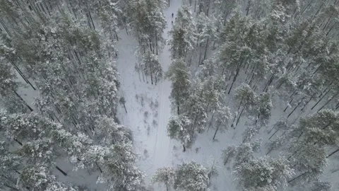 Winter road in snowy forest Stock Footage 146961729