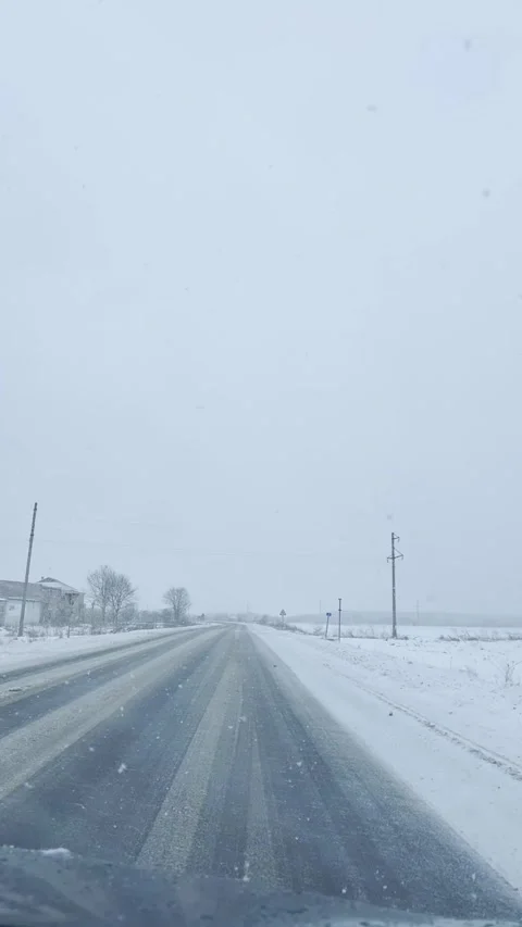 Winter road with snowy trees and bushes in fog Stock Footage 317227800