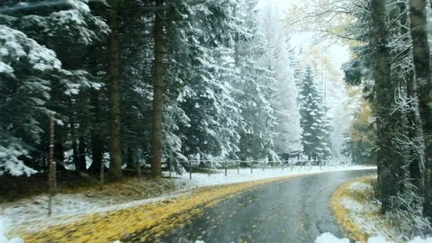Winter road in the spruce forest. Mountain winter road in the forest. Stock Footage 120288259