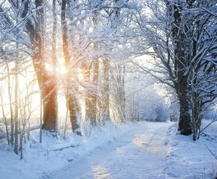 Winter road with sunlight Stock Photos
