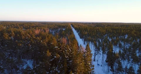 Winter road at sunset, Cinema 4k aerial view above a snowy road in Teijo nati Stock Footage 85585874
