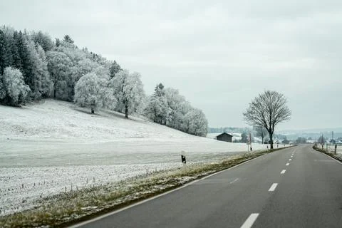 Winter road surrounded by snowy fields and trees in a rural area Stock Photos