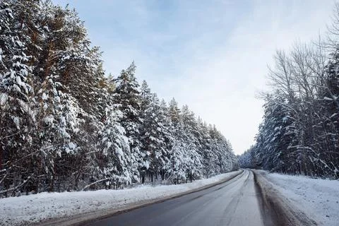 Winter road through a beautiful pine forest. The road is glistening with snow. Stock Photos