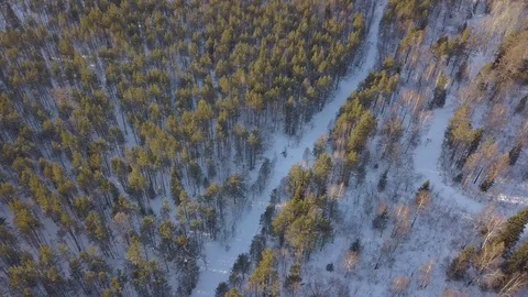 Winter road through the forest aerial Stock Footage 84178178