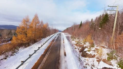 Winter Road Through Forest – Aerial FPV Flyover Stock Footage 321659758