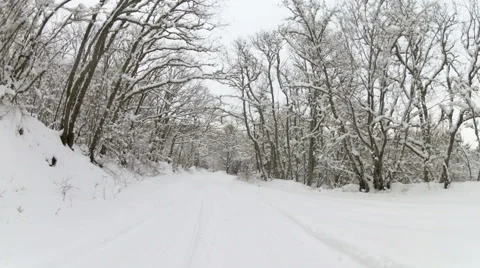 Winter road through forest after snowfall, Go Pro Stock Footage 59796701