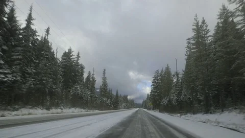 Winter road through the forest Stock Footage 83866361