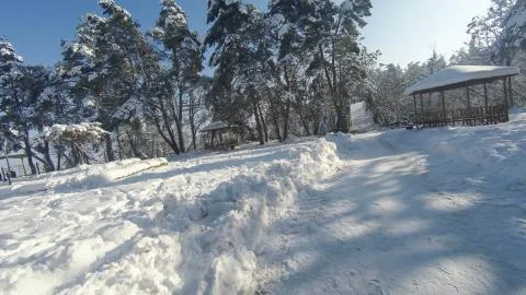 Winter road through the forest Stock Photos