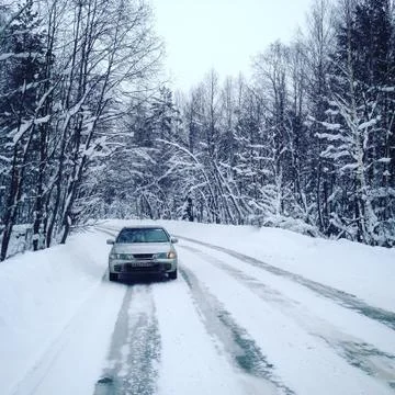 Winter road through the forest Stock Photos
