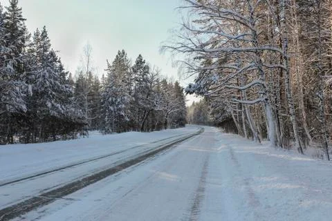 Winter road through the forest Stock Photos