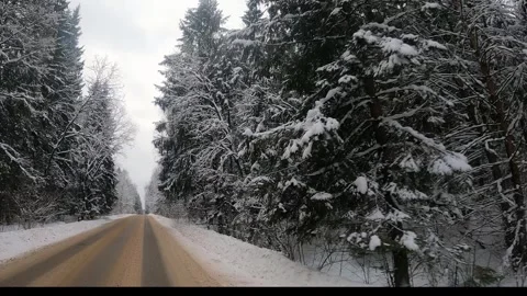 Winter road through a snow-covered spruce forest. Stock Footage 327198388
