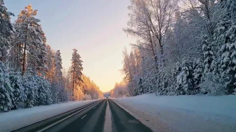Winter Road Through Snow Covered Forest at Sunrise Stockbeeldmateriaal 330953090