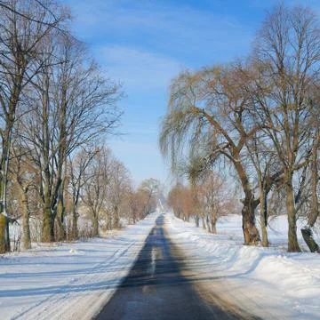 Winter road through snowy fields and trees . Stock Photos